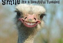 Reclaiming Power on an Ordinary Tuesday