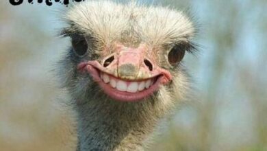 Reclaiming Power on an Ordinary Tuesday