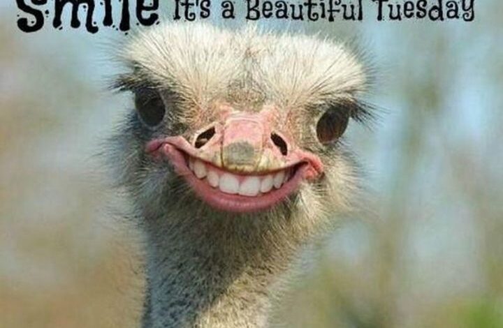 Reclaiming Power on an Ordinary Tuesday